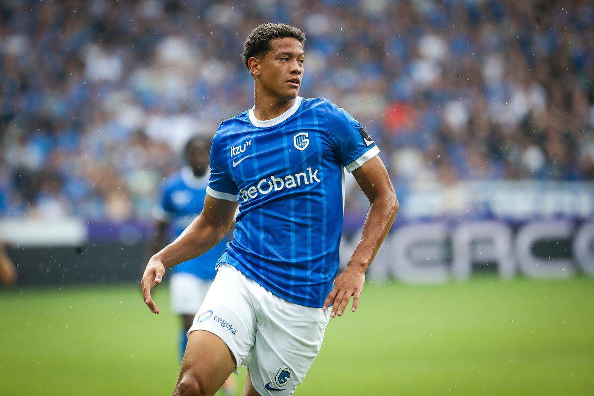 Andras Németh naar Hamburg SV