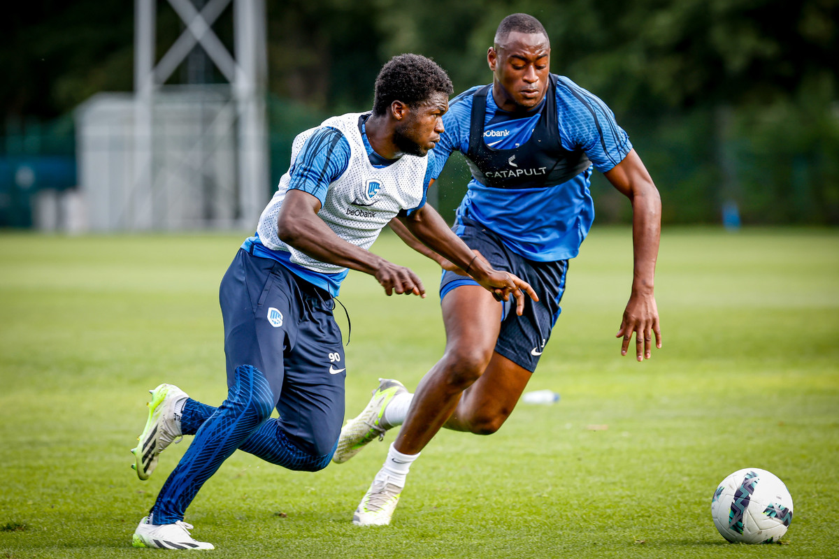 Deze week twee open trainingen