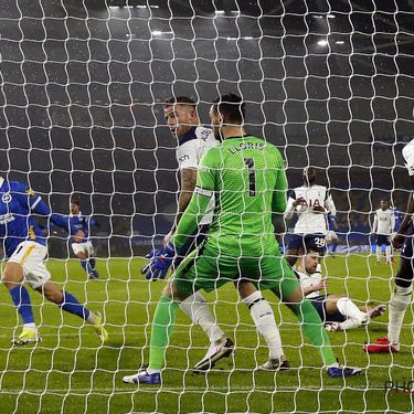 Brighton and Hove Albion v Tottenham Hotspur - Premier League - AMEX Stadium
